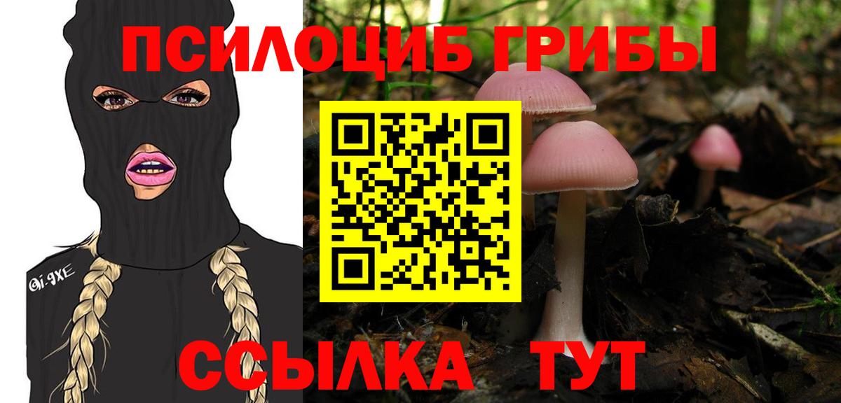 Ессентуки  Псилоцибиновые грибы Psilocybe  Вход с VPN 
